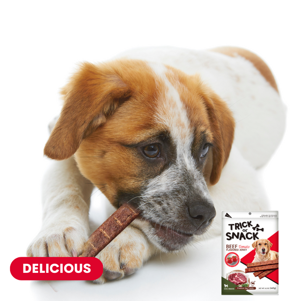 Dog Snack - Delicious Tender & Healthy Trick Or Snacks Beef Tomato Flavored Jerky