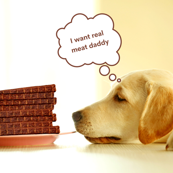 dog blueberry jerky treat for training