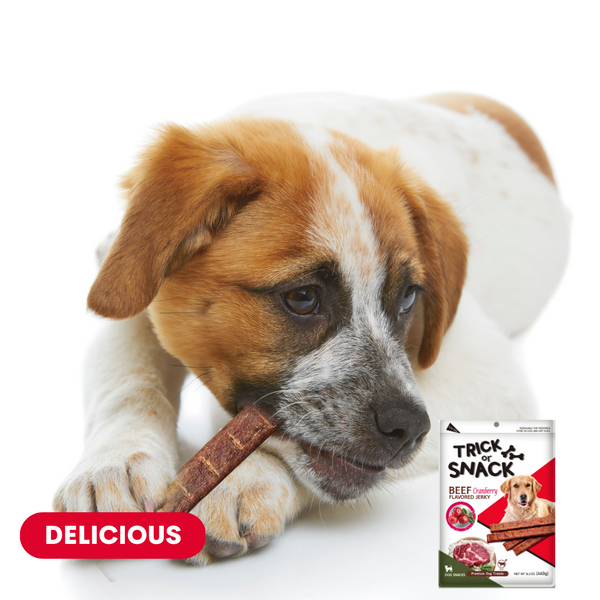 TRICK OR SNACK Premium 1lb Dog Jerky Treats | Dog Training | Dog Walking | Natural Grillers | Healthy Smoked Beef Chicken Salmon Chews Snacks (Beef Cranberry Jerky)