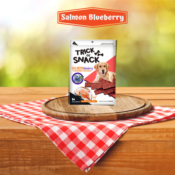 Dog Snack - Delicious Tender & Healthy Trick Or Snacks Salmon Blueberry Flavored Nugget