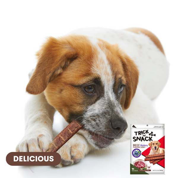 TRICK OR SNACK Premium 1lb Dog Jerky Treats | Dog Training | Dog Walking | Natural Grillers | Healthy Smoked Beef Chicken Salmon Chews Snacks Beef Blueberry Jerky